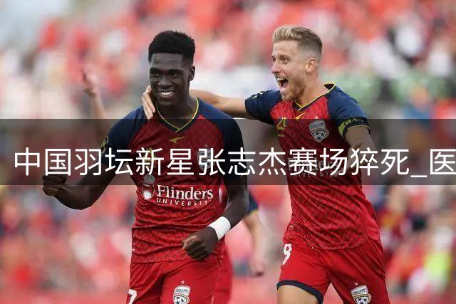 中国羽坛新星张志杰赛场猝死 医疗急救缺失引质疑