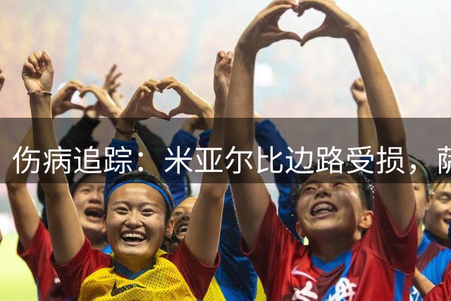 伤病追踪：米亚尔比边路受损，萨尔茨堡后防轮换承压