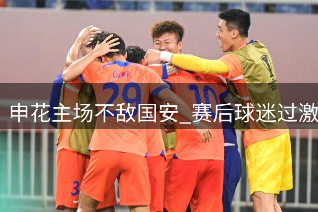 申花主场不敌国安 赛后球迷过激行为引争议