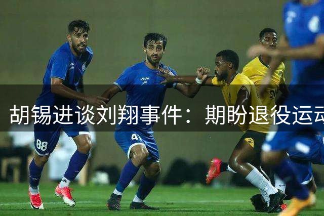 胡锡进谈刘翔事件：期盼退役运动员获社会善待